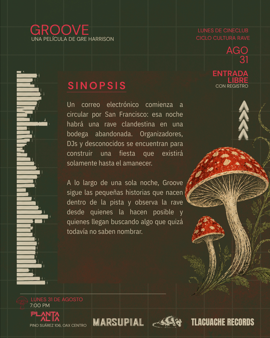 Sinopsis — Groove